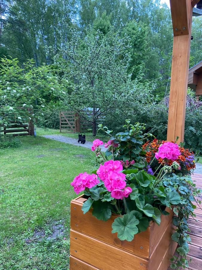 Forest House With Outdoor Hot Tub Jurmala Exterior photo